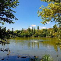 В ростовском зоопарке :: Нина Бутко В ростовском зоопарке :: Нина Бутко