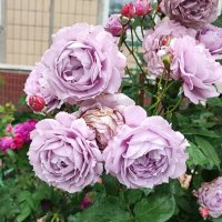 ,,, :: Сергей Тимоновский ,,, :: Сергей Тимоновский