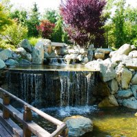 Ещё водопадик. Японский сад. :: Alexey YakovLev