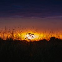 Солнце встает! :: Вячеслав Владимирович