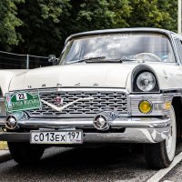 Чайка :: Александр Чайка :: Александр