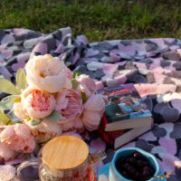 Пикничок в парке :: Светлана Мишенёва