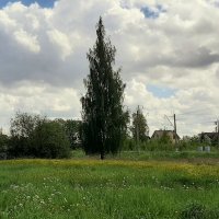 Стрельна. Последний день весны :: Наталья Герасимова Стрельна. Последний день весны :: Наталья Герасимова