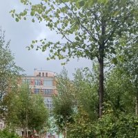 лето в городе :: Галина R...