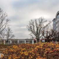 Гданьск :: Дмитрий 