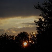 Сумеречная зона :: Натали 