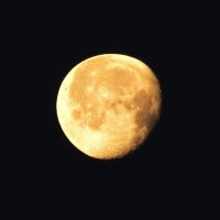 Убывающая луна :: Людмила Смородинская