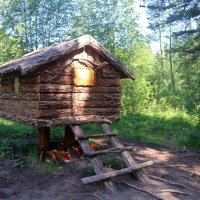 Лесные тайны :: Ольга 