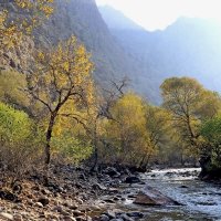 ПО НИЗАМ. :: Виктор Осипчук ПО НИЗАМ. :: Виктор Осипчук