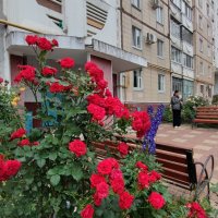 ,,, :: Сергей Тимоновский ,,, :: Сергей Тимоновский