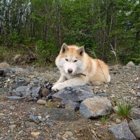 Суета сует... :: Николай Гирш Суета сует... :: Николай Гирш