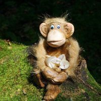 В поисках волшебных грибочков....:-) :: Андрей Заломленков