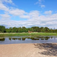 Вид на смотровую вышку с берега реки. :: Лия ☼ Вид на смотровую вышку с берега реки. :: Лия ☼