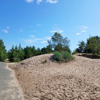 Дорога среди дюн. :: Лия ☼