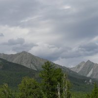 Предгорье Саян :: Ольга 