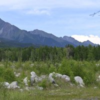 Предгорье Саян :: Ольга 