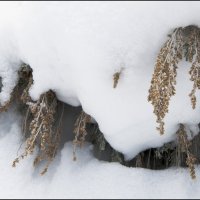 "Снегопад давно прошел..." :: **** vedin "Снегопад давно прошел..." :: **** vedin
