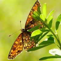 из снятого сегодня 1 :: Александр Прокудин