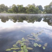 Природа :: Виктория Тукмакова Природа :: Виктория Тукмакова