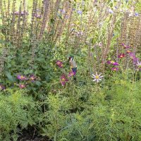 Ценитель прекрасного :: Валерий Иванович Ценитель прекрасного :: Валерий Иванович