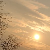 Предзакатное вчерашнего дня. :: сергей ермошкин