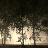 Таинственность ночного тумана :: Сергей Шаврин