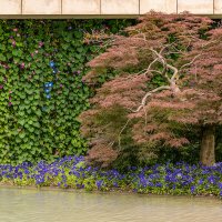 Прогулка в парке Галицкого :: Игорь Сикорский