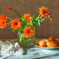 Календула и абрикосы :: Валентина Богатко 