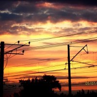 Красота :: Натали 