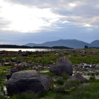 Отлив на Белом море :: Ольга 