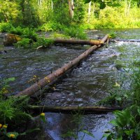 Про Знаки в Линдуловской роще :: Магомед . Про Знаки в Линдуловской роще :: Магомед .