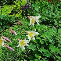 ,,, :: Сергей Тимоновский