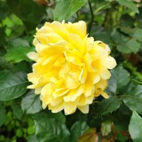 ,,, :: Сергей Тимоновский