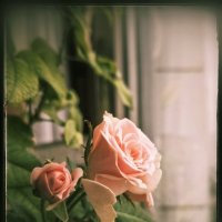 ***** :: Руслан ***** :: Руслан