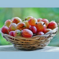 ДАР ЛЕТА... :: Elvira E. 