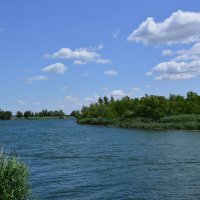 Местная река. :: Виктор 