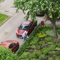 /// :: Виктор Никитенко /// :: Виктор Никитенко