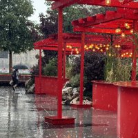 Дождь :: Анна Камс