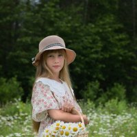 Ромашковое лето. :: Alexander Fedotov