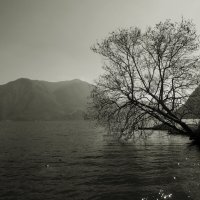 Lugano Швейцария :: Civetta ***