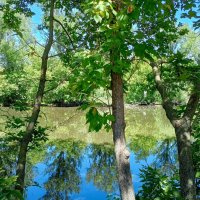 В ростовском зоопарке :: Нина Бутко