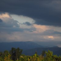 летний вечер :: Всеволод 