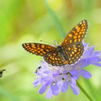 из вчерашней съёмки 2 :: Александр Прокудин