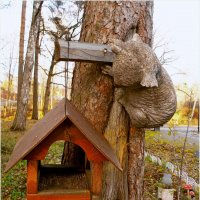 Кормушка с коалой. :: VasiLina *