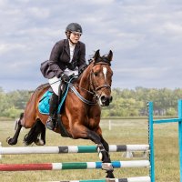 Конкур :: SanSan 