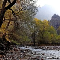 ПО НИЗАМ. :: Виктор Осипчук ПО НИЗАМ. :: Виктор Осипчук