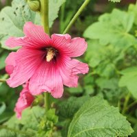 ,,, :: Сергей Тимоновский ,,, :: Сергей Тимоновский