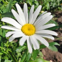 ,,, :: Сергей Тимоновский