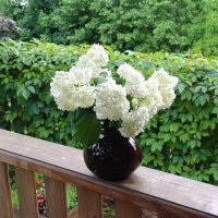 Всем дорого утра!!! :: tatiana 