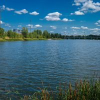 Летняя природа на озере :: Александр Синдерёв